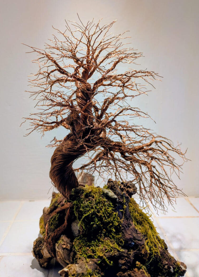 Salvaged industrial copper grounding wire, dead vine root, moss. H: 35 cm (approximate).